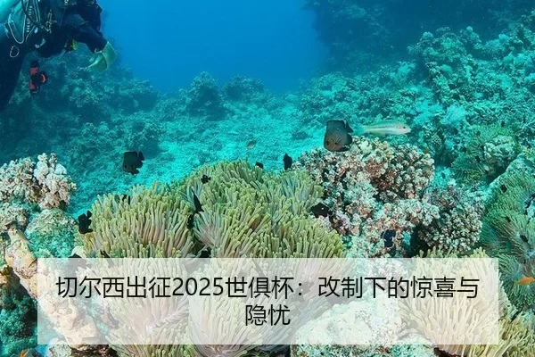 切尔西出征2025世俱杯：改制下的惊喜与隐忧